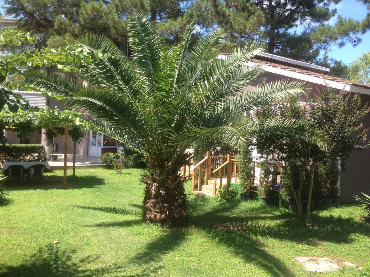 Hotel Shila Doert Mevsim Tatil Koyu Ağva Exterior foto